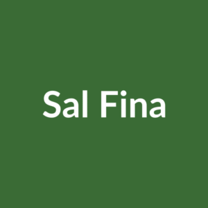 Sal Fina 1kg